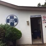 Florida SPCA