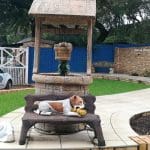 Florida SPCA