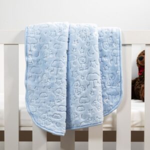 Baby Faux Mink Blanket Blue Pattern Baby Faux Mink Blanket Blue Pattern